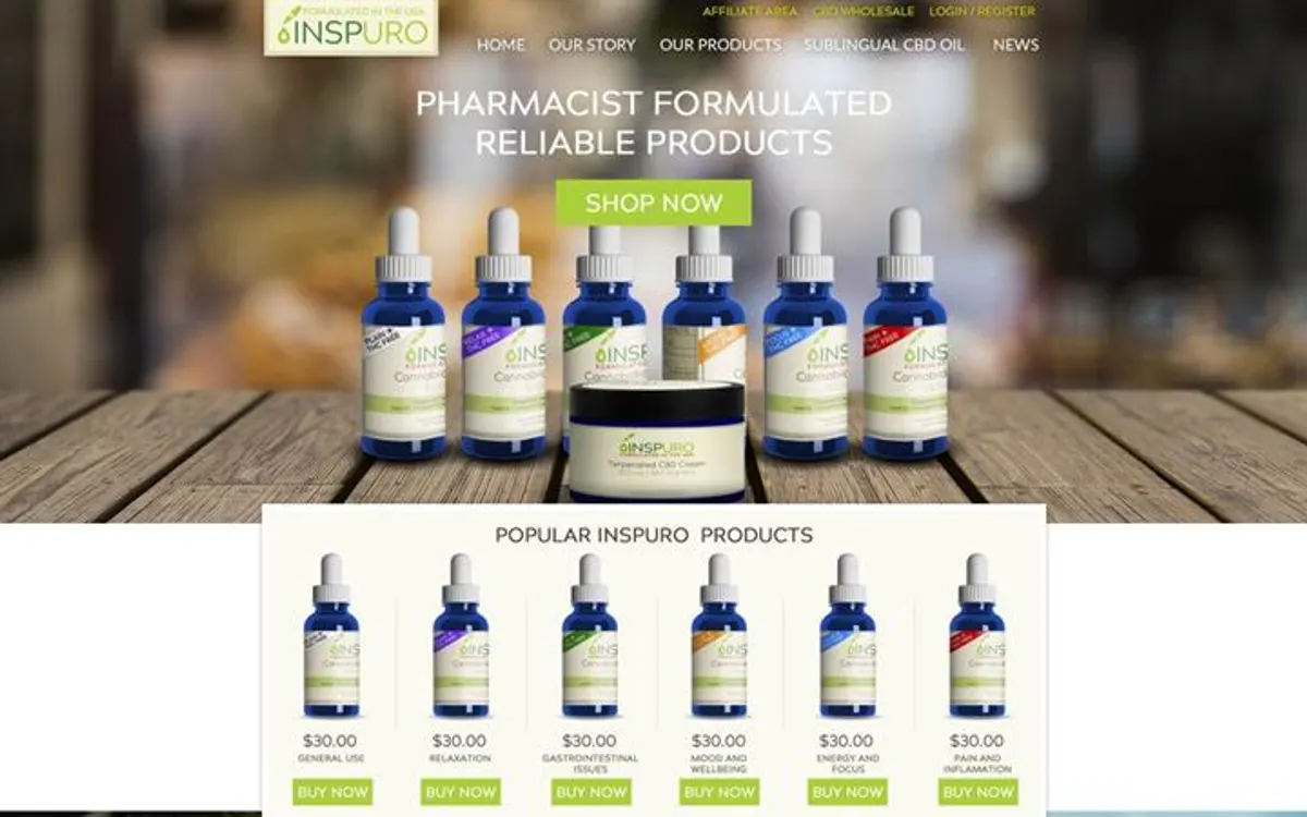 Inspuro home page, archived build