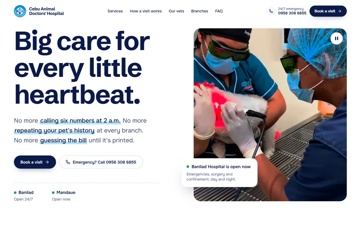 Cebu Animal Doctors' Hospital home page with the headline Big care for every little heartbeat beside a video of vets treating a dog.